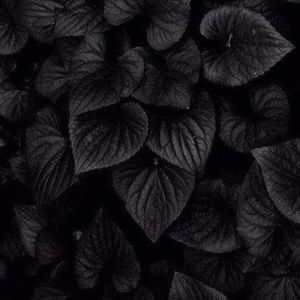 Meet your Posher, Marisol